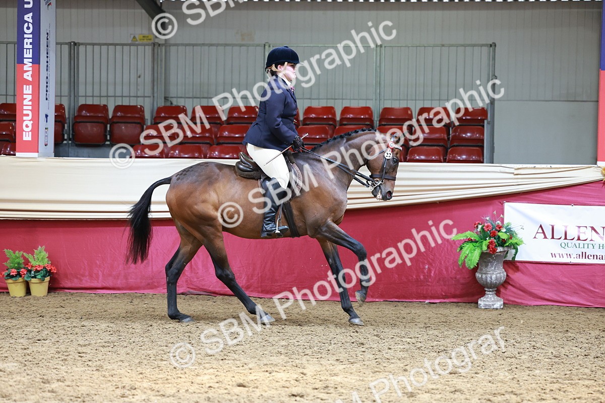 SBM_15007 - Class 108 - Ridden Retired Racehorse