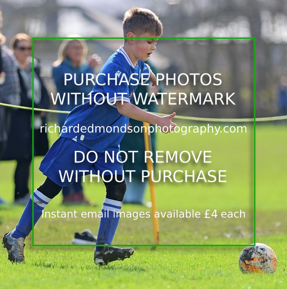 533A8174 - Ibis Under 8's (14/3/26)