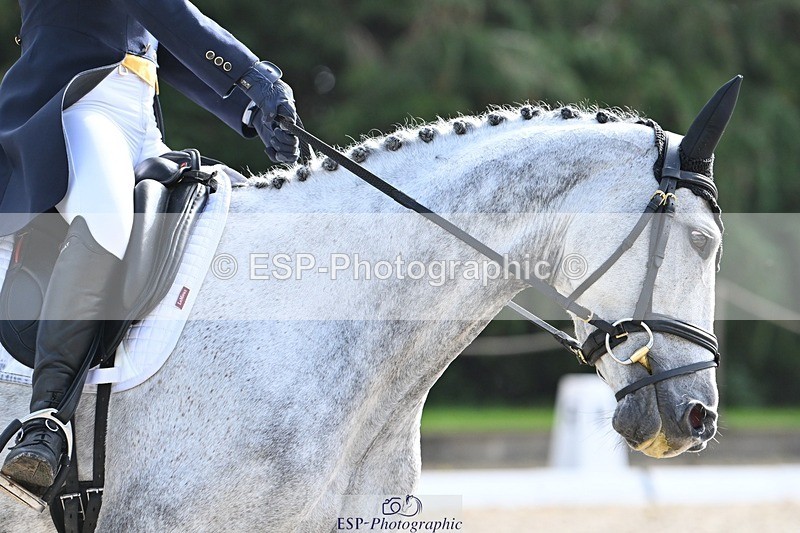 231019-121243-03040 - 119-COEUR.DE.LIONNE.J.Z-Isny.O'Donnell-DR