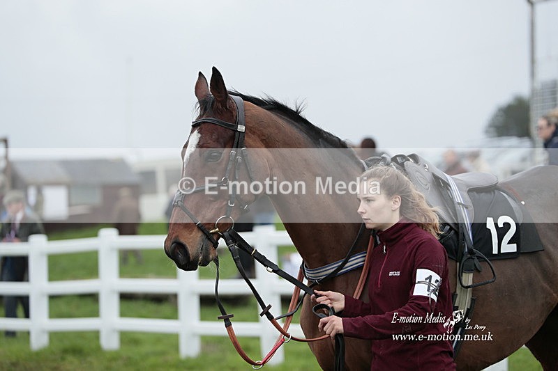 PtP 271122 408 - Hursley Hambledon Hunt Point-to-Point - Larkhill - 27/11/22