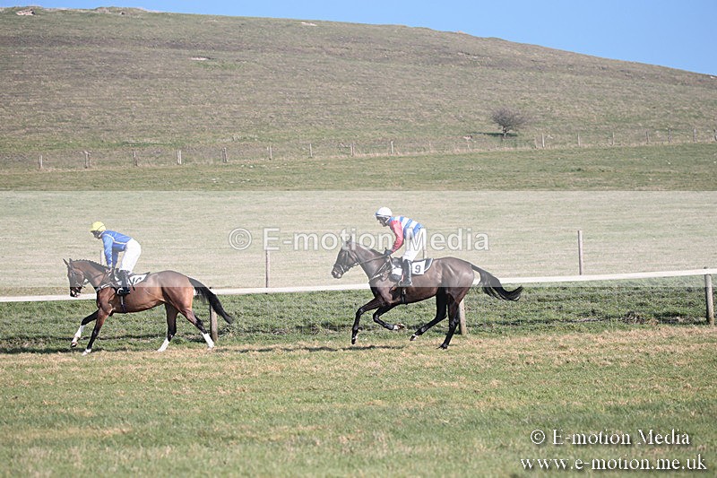 PtP 230219 135 - Vine & Craven Point-To-Point - Barbury 23/02/19