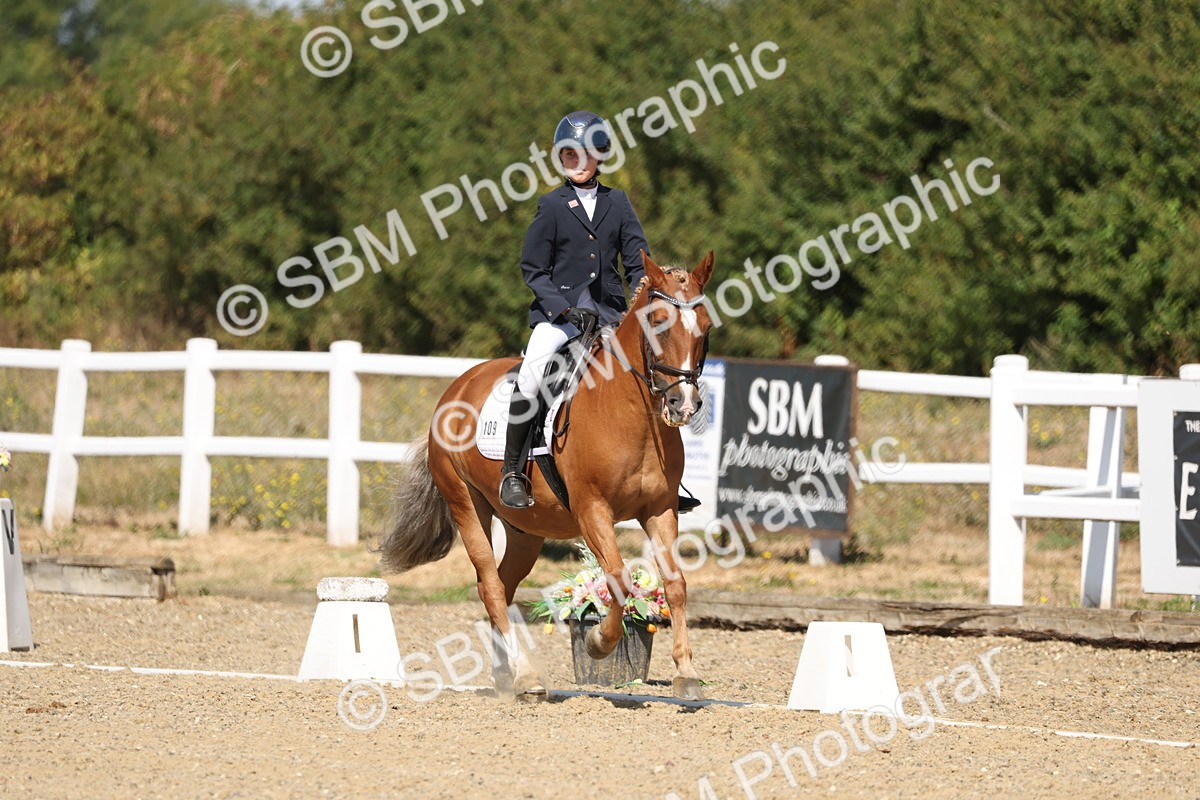 SBM_013737 - Class 1 - P5 Bronze 10.38.12.02