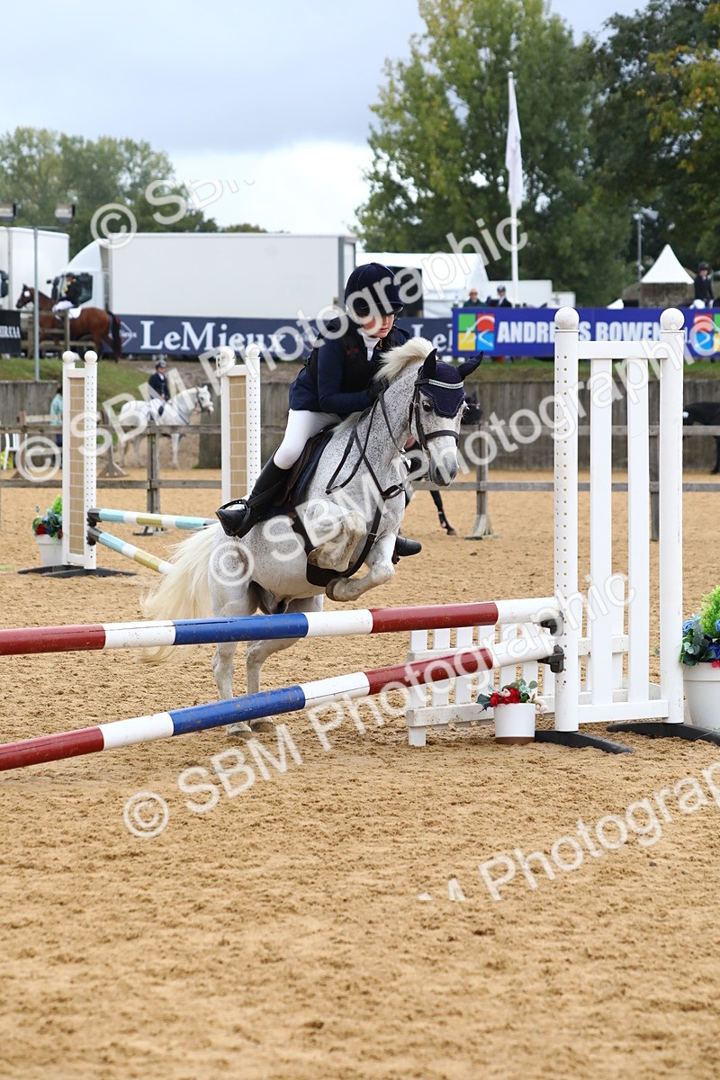SBM_62338 - J64 - Junior Pony 60cm Championship