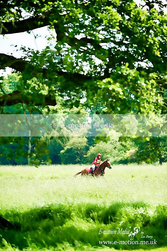 Farley HT010614 855a - Equestrian