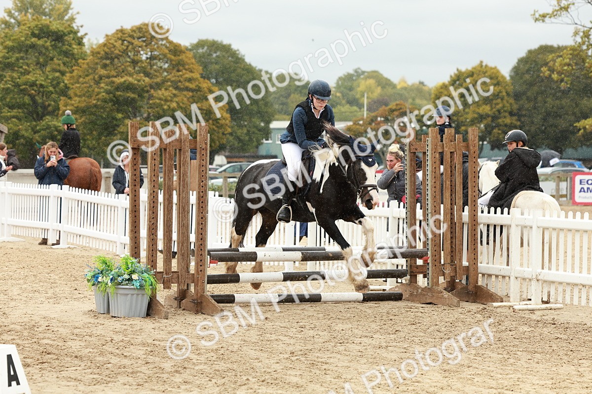 SBM_69146 - J13 - Junior Pony 60cm Championship