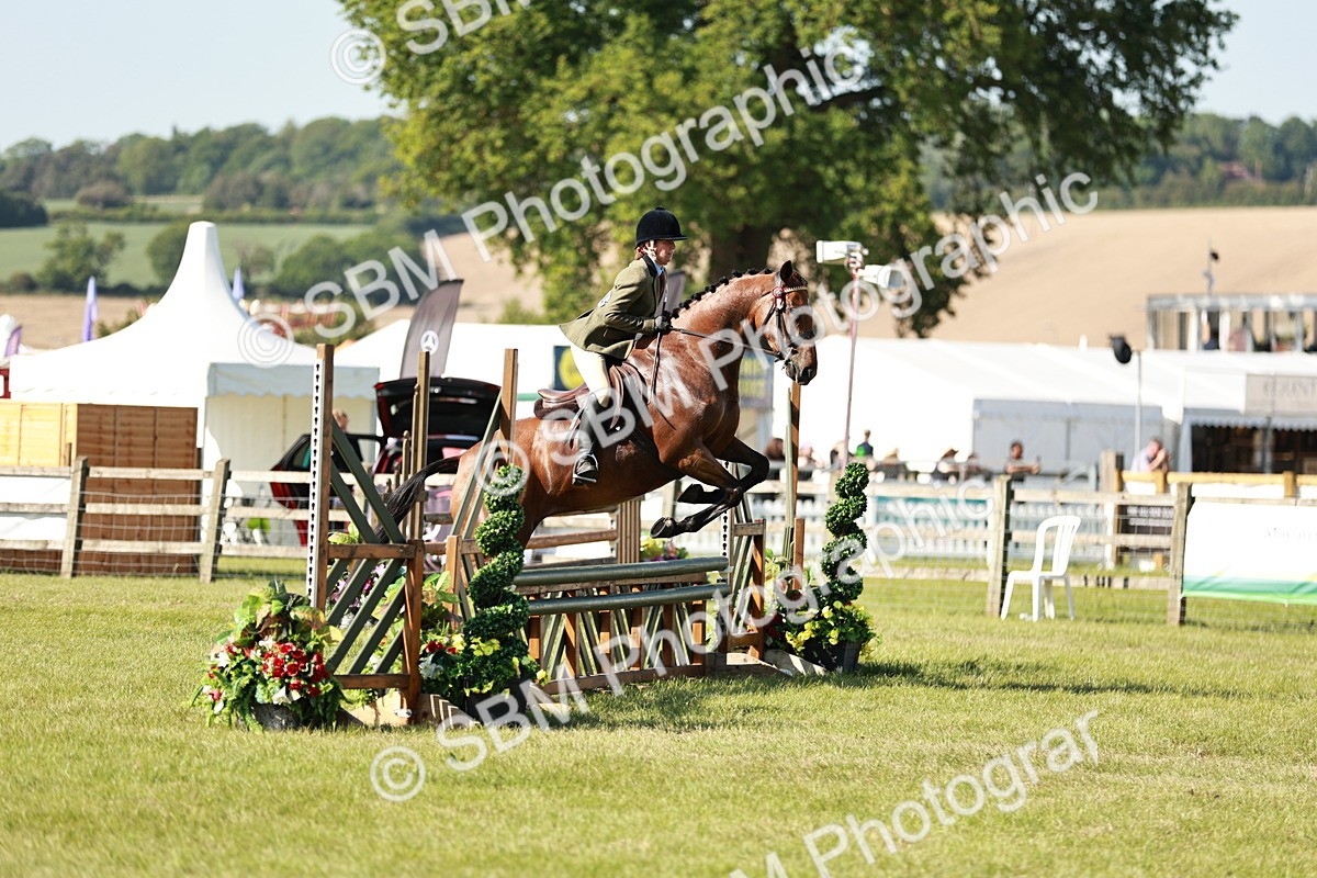 SBM_19139 - Class 115-116 - LIHS BSHA Rising Star Working Hunter & Show Horse