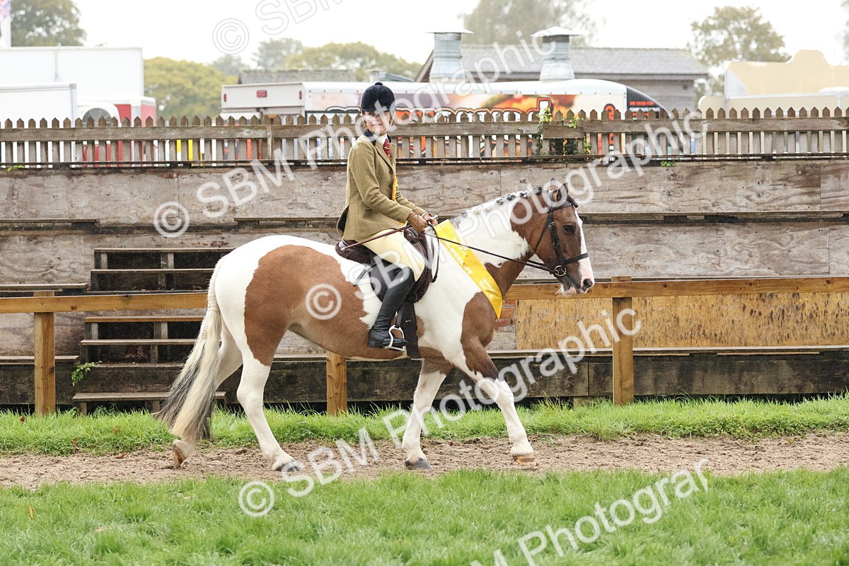SBM_73087 - Ridden Pony Supreme Championship