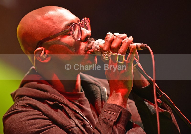 Womad 2015