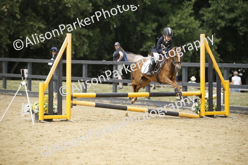 20250622-5774 - 60cm