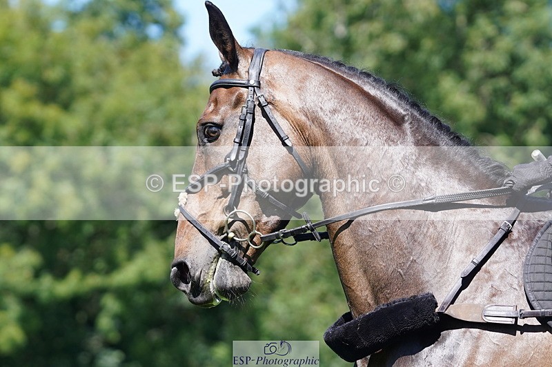 240811A-134424-04045 - 201