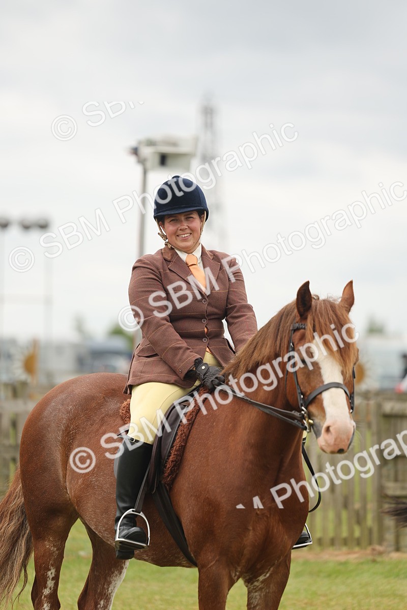 SBM_07231 - Class 76-77 - Ridden M&M Welsh Ponies
