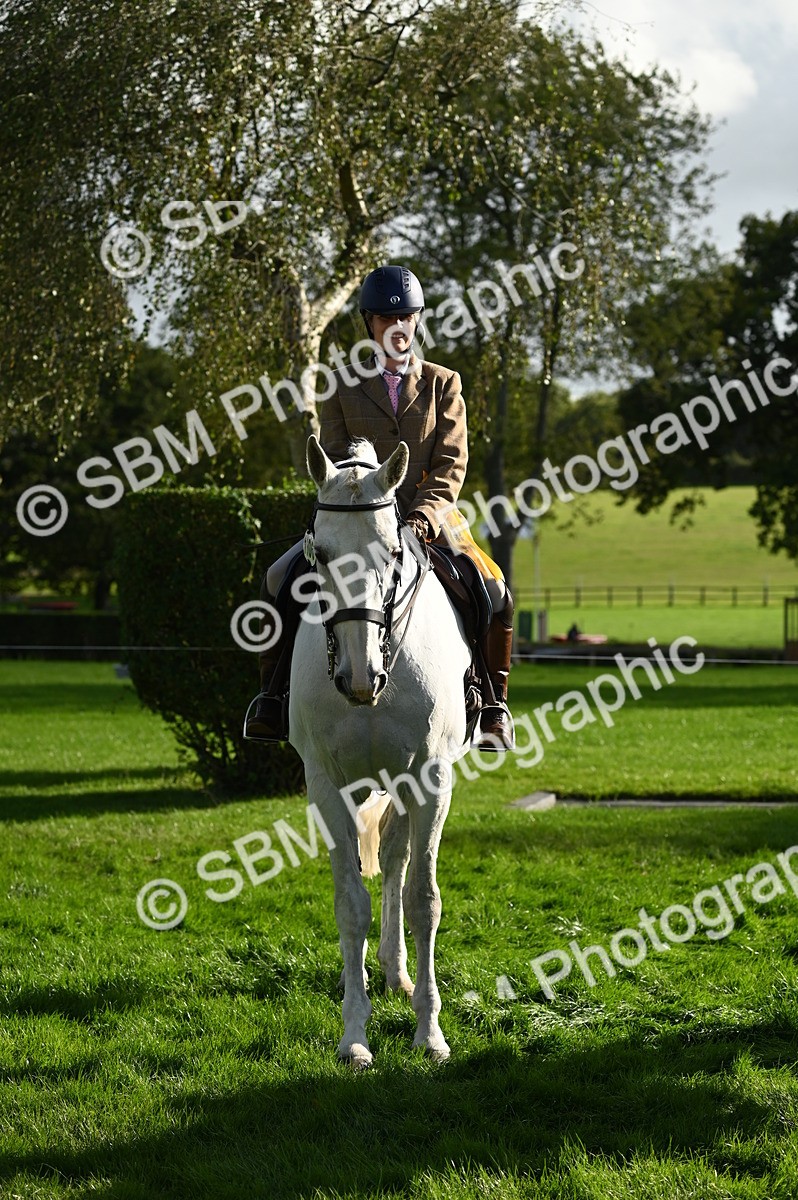 SBM_26470 - S6 - Novice & newcomer Ridden horse