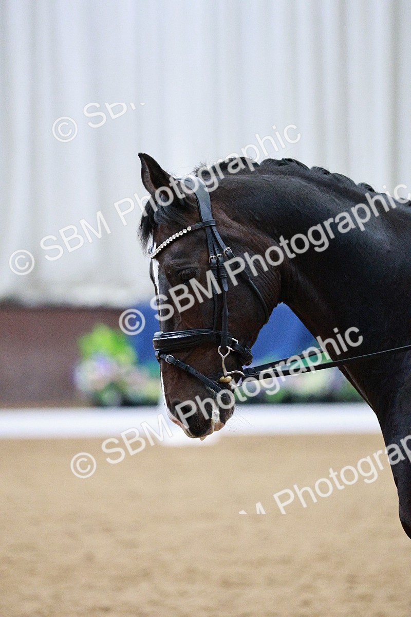 SBM_020705 - Class 13 - FEI INT I - 15.30-16.00