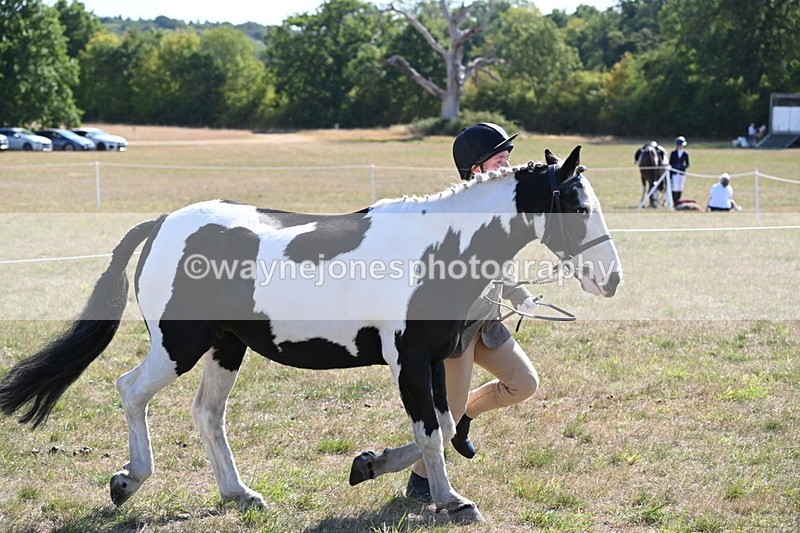 WJ6_7514 - Class 34 Judges Choice
