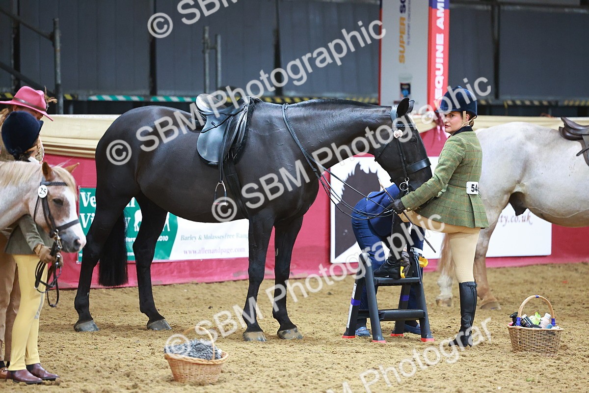 SBM_07713 - Class 101 - HOYS Veteran Qualifier - Ridden Diamond