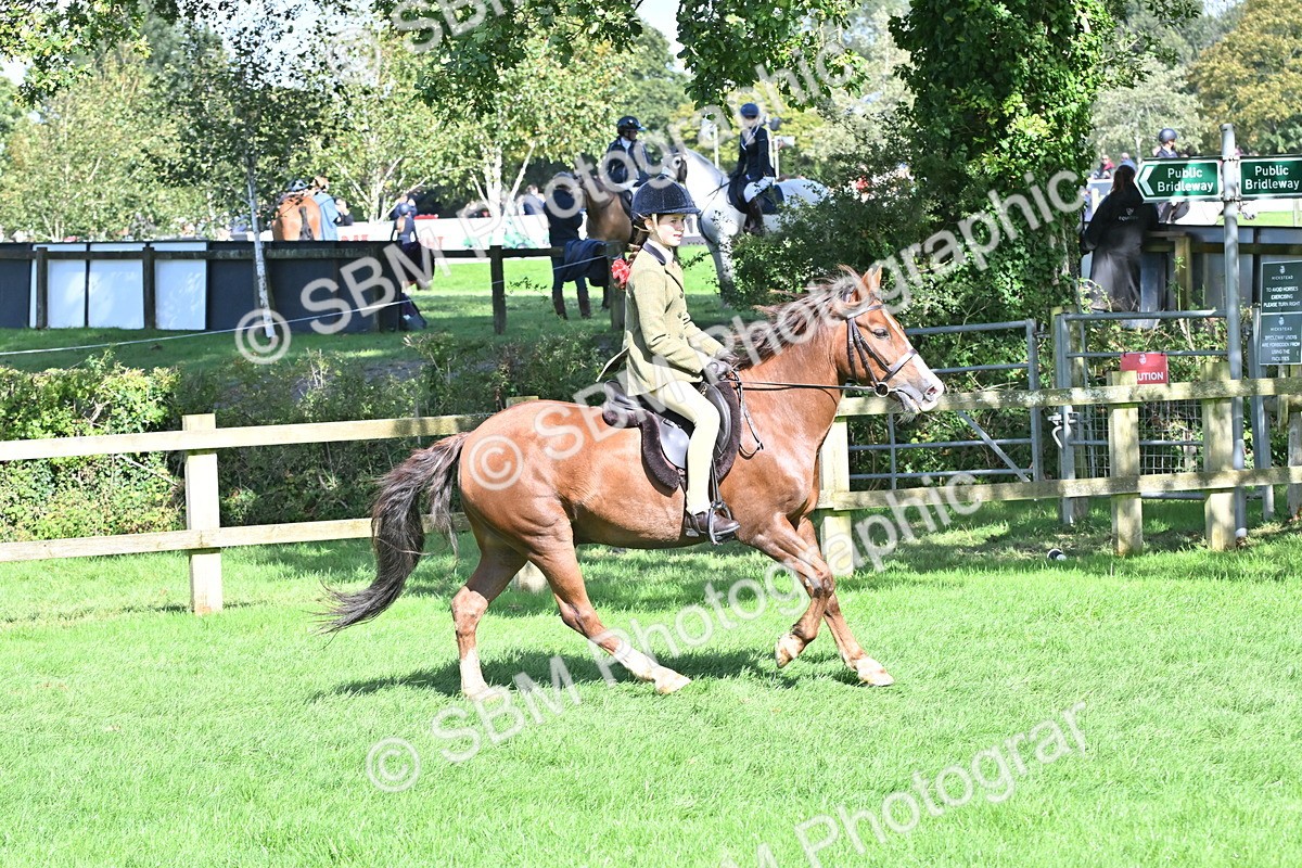 SBM_44561 - S13 - Pony Club Pony