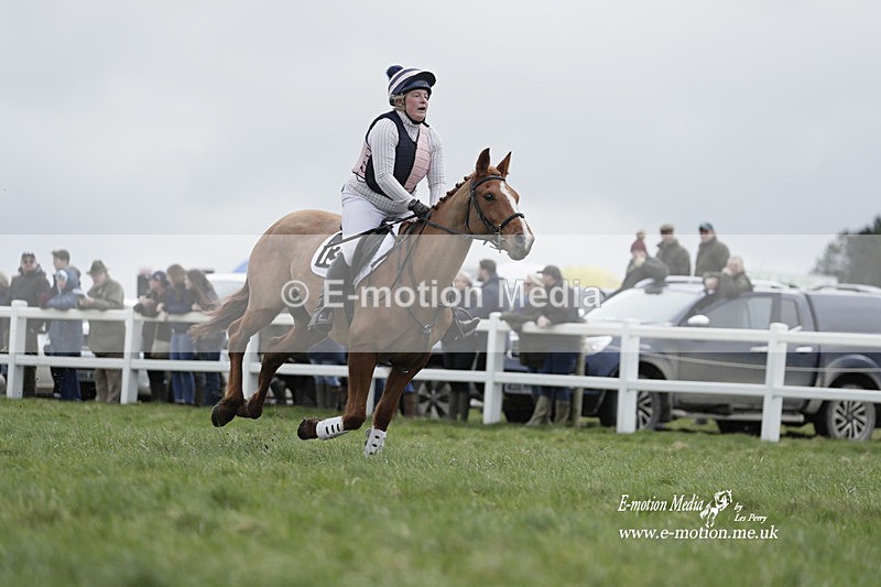 PtP 260323 0298 - New Forest Hounds Point-to-Point Larkhill 26/03/23