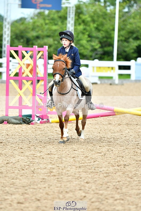 230804A-120130-02429 - Showjumping Competition
