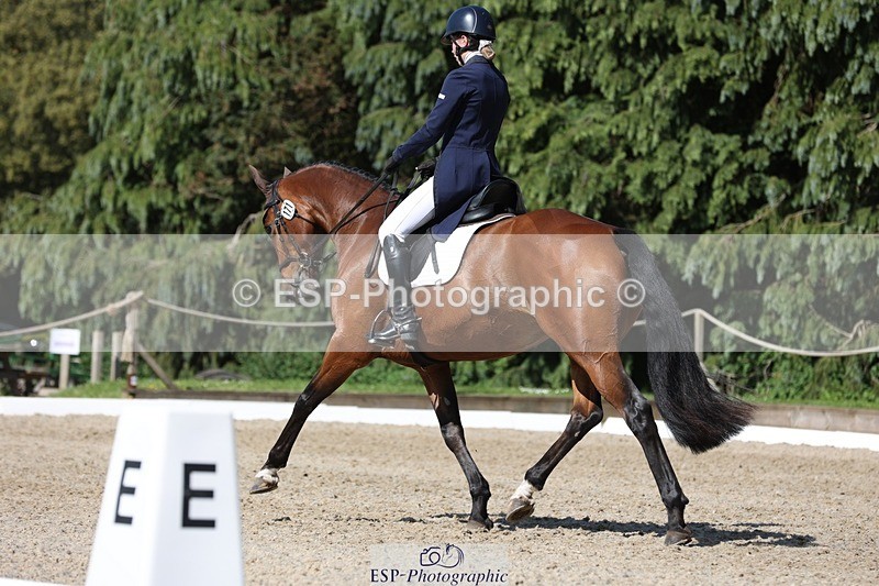 230526-162455-07817 - 171-SLANEYSIDE_COOLEY-Lara_Chapple-WEDTrotUp+DR