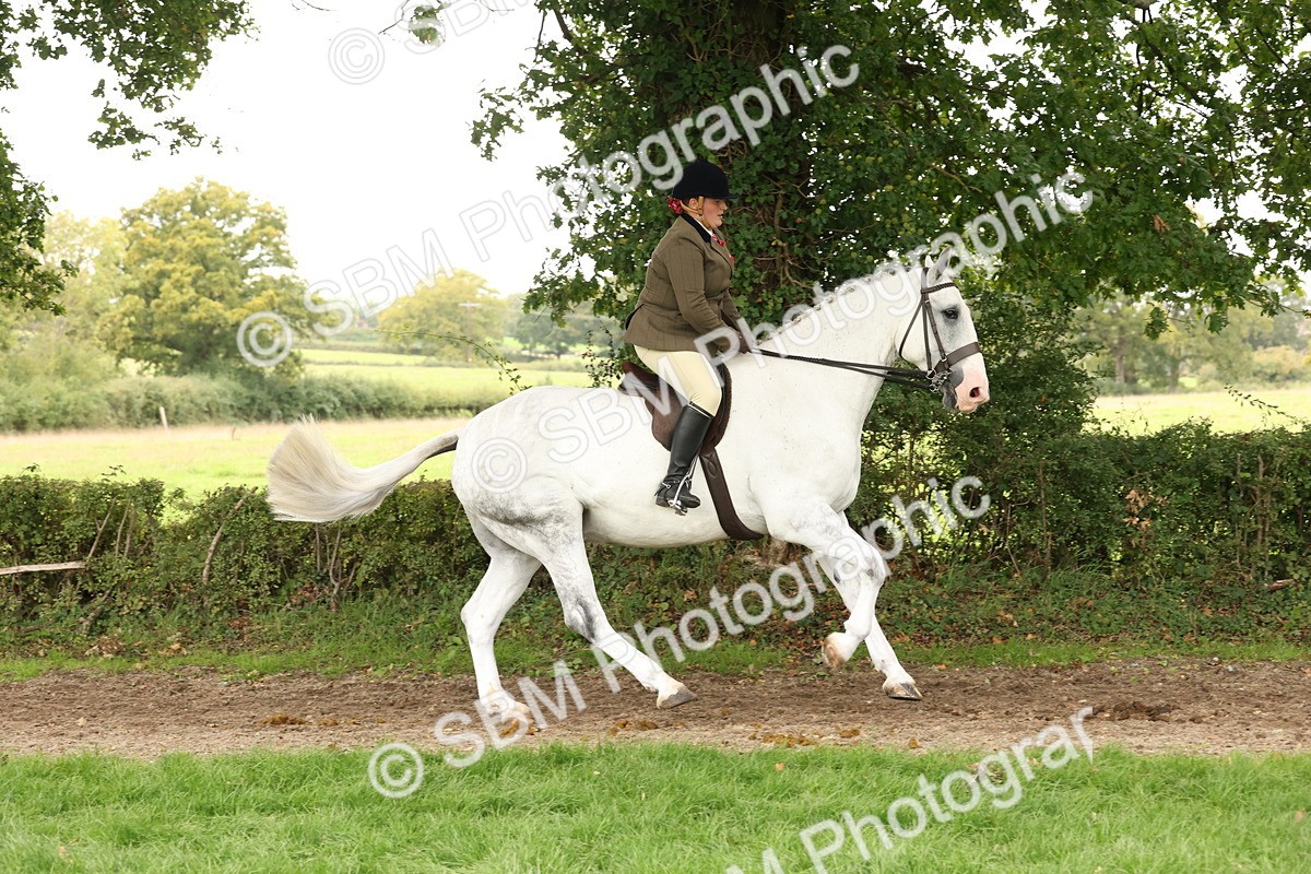 SBM_66307 - S66 - Hunter Ridden