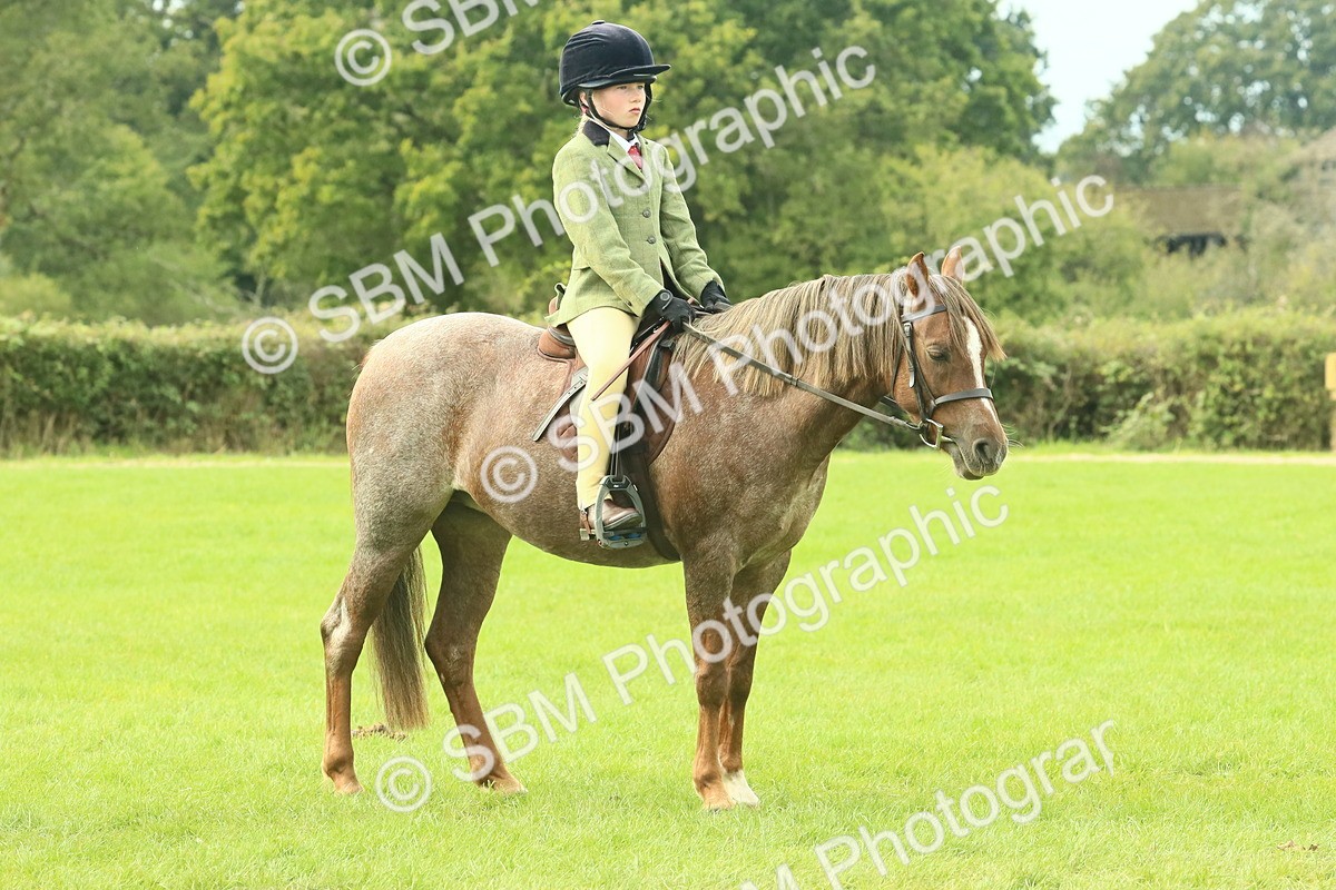 SBM_69902 - S59 - Mountain & Moorland Ridden Small Breeds