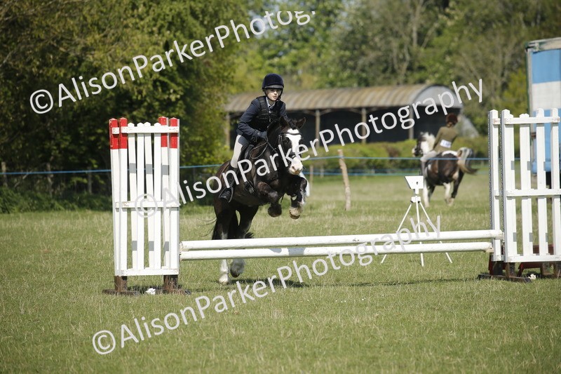 20250427-2029 - Class 13 - Novice Jumping 60cm