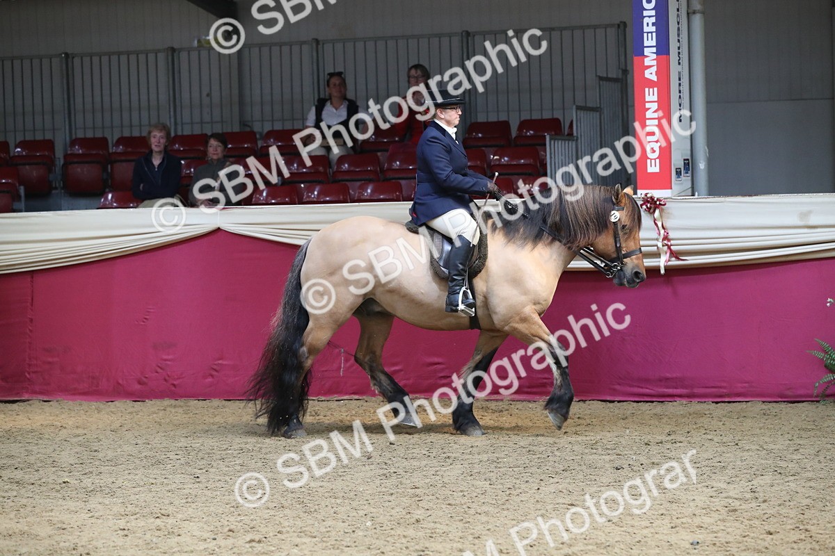 SBM_16271 - Class 502 M&M Ridden Supreme Final