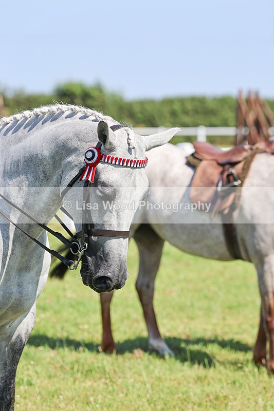 IMG_1965 - Class 33: Show Pony 148cm and under