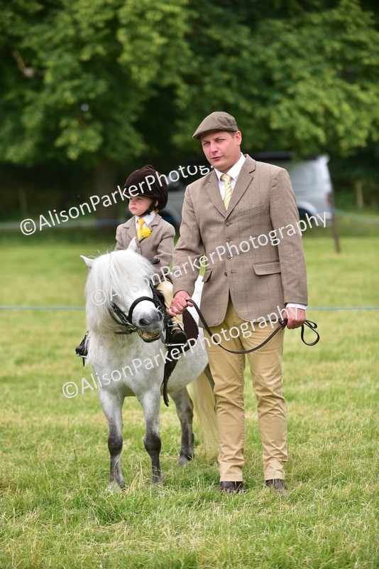 20260614-3697 - Class 15 - Prettiest Mare