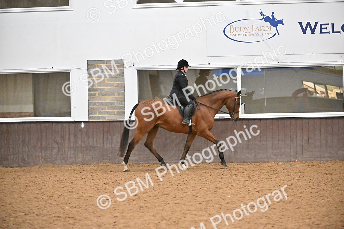 SBM_002997 - Class 37,38 - UKPSAF Performance Horse & Pony