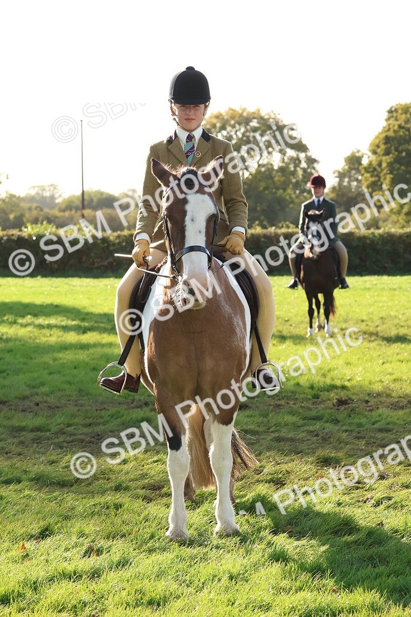 SBM_52654 - S13 - Pony Club Pony