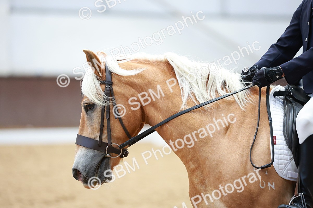 SBM_011394 - Prelim 5 - 13.05-14.01