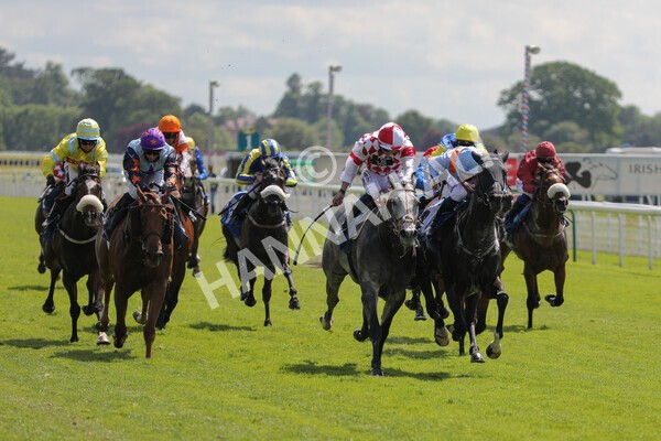 yr11062021r2-19 - Race 2 2.20pm Churchill Tyres Stakes