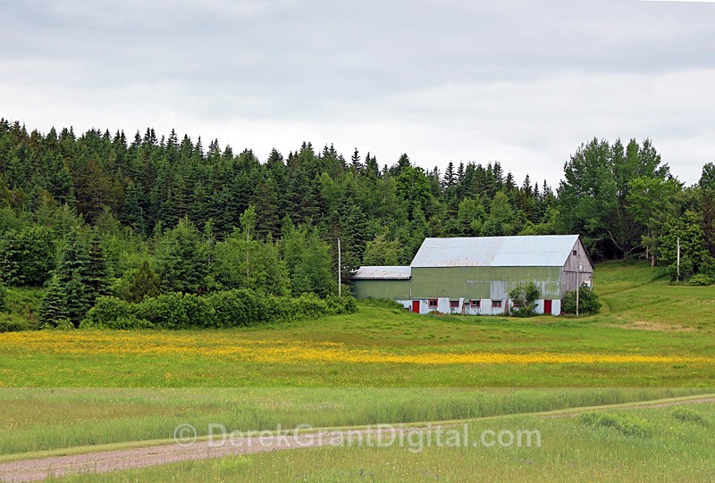 Shades of Green New Brunswick Canada - Old Barns & Buildings