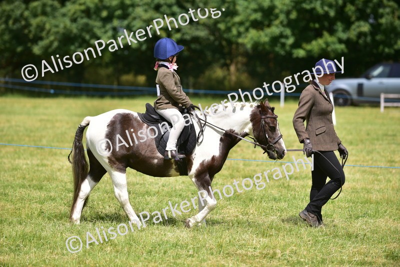 20260614-1347 - Class 11b - Lead Rein Pony (Plaited)