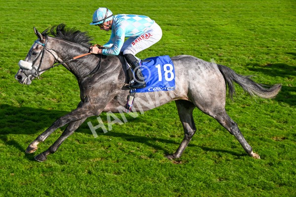 111025-Race 4-Binhareer-8848 - Race 4 Coral Sprint Trophy Handicap at York