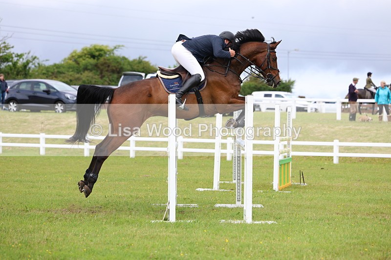 3E7A7143 - Class 12: Senior Foxhunter/1.20 open