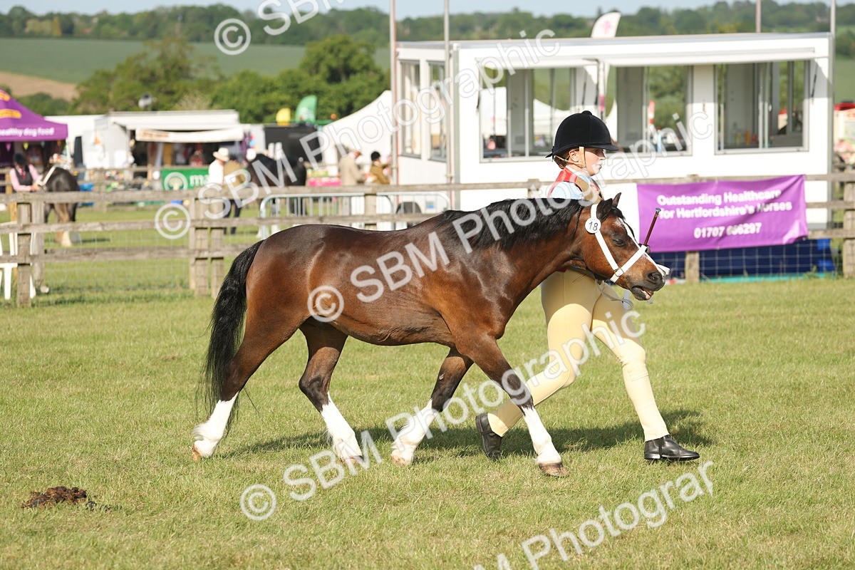 SBM_10359 - Class 33-38 - SSADL RIHS Qualifiers