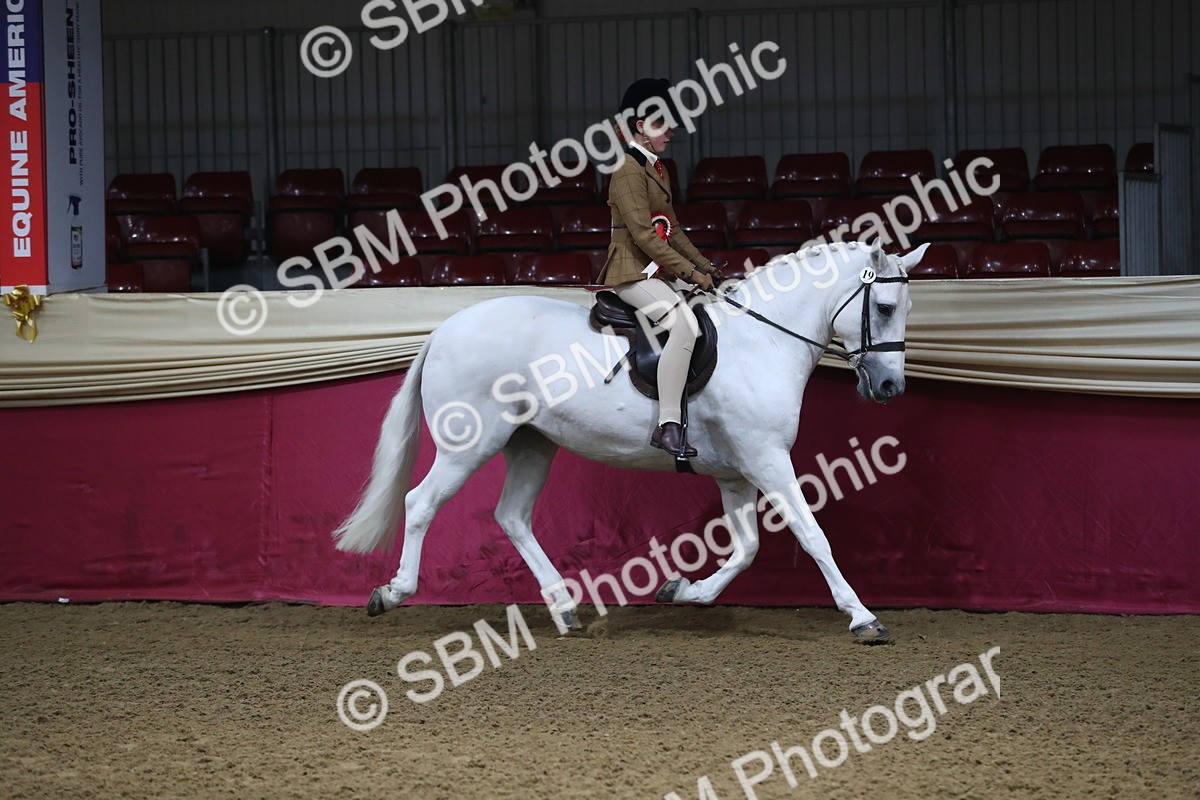 SBM_09371 - Class 101 Equitation (best rider), Junior