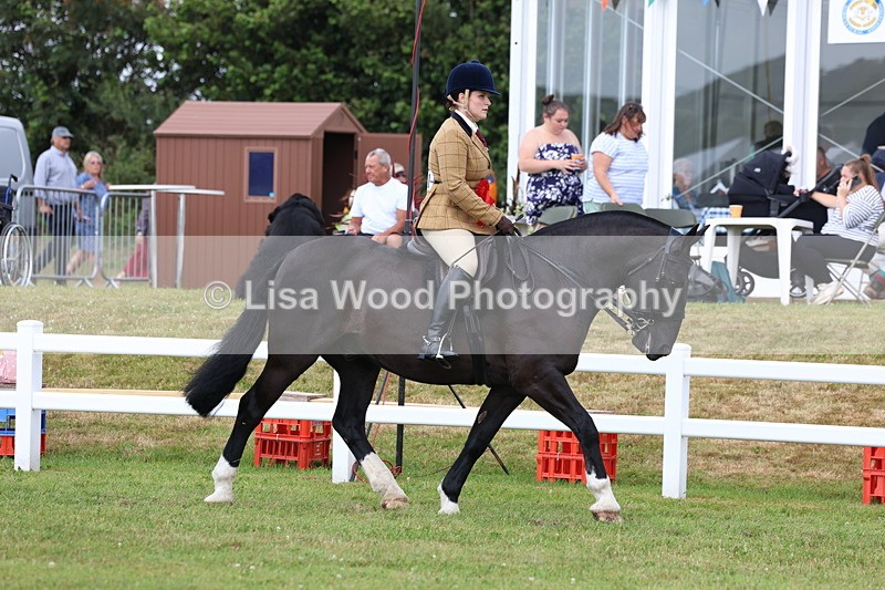 3E7A0467 - Rising Star Ridden Championship