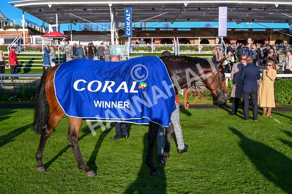 141023-Race 7-Star Ahoy-9403 - Race 7 4.45pm Coral 'Committed To Safer Gambling' Finale Handicap