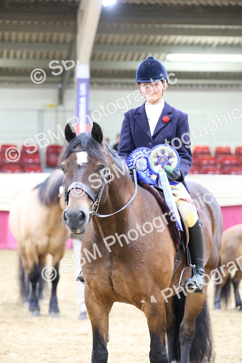 SBM_20064 - Class B - Junior Champ 11yr to 16 Years