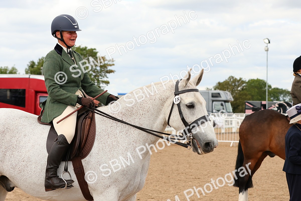 SBM_15533 - Class 214 - Ridden Show Cob