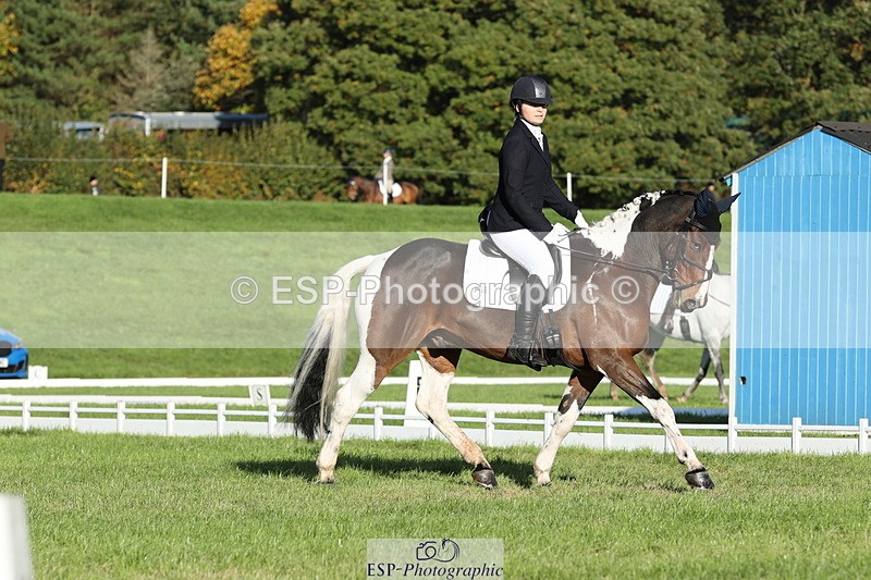 251024A-100338-07647 - D-341-Charlotte.Northcott