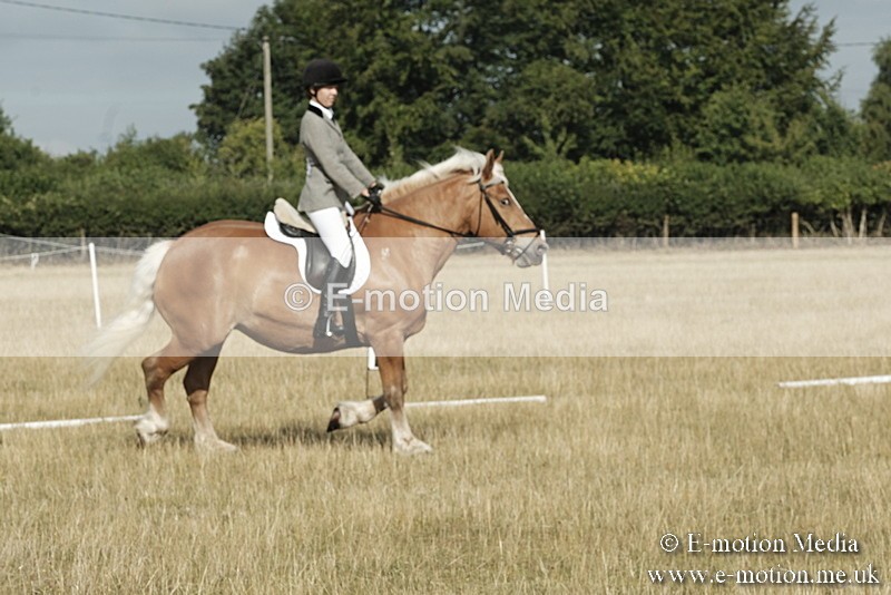 _PJP5567 - Dressage Classes BVRC Show 2018