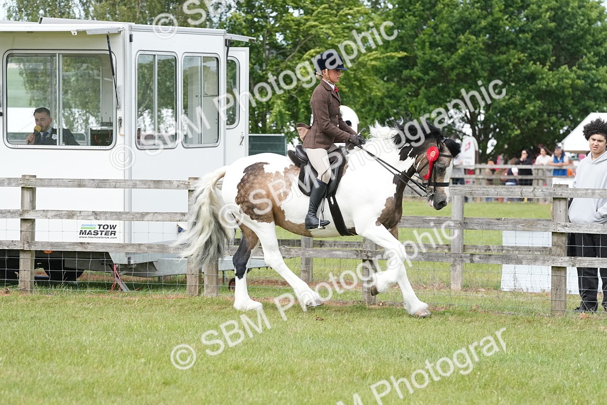 SBM_17663 - Class 107-108 - LIHS BSPS Performance Coloured Horse Pony