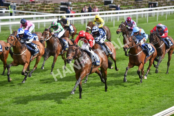 yr22052021r4-39 - Race 4 3.50pm WilliamHill.com Best Odds Guaranteed Stakes