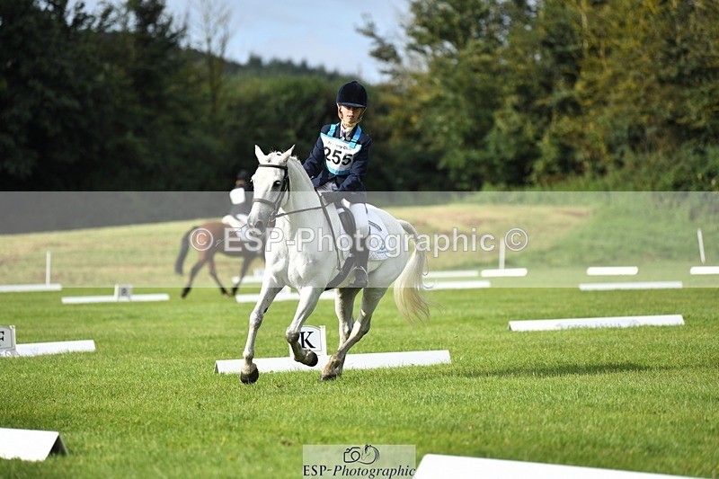 230826-093525-15160 - Sections C & D 9 to 10am