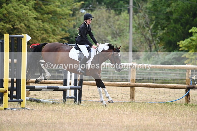 WJ6_0377 - Class 13 Novice Jumping 60cm