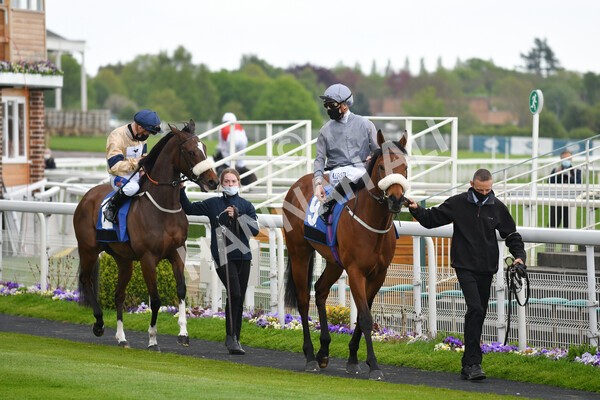 yr14052021r6-1 - Race 6 4.15pm Yorkshire Equine Practice Stakes
